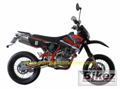 2011 Puma Falcon CR250i Cross photo
